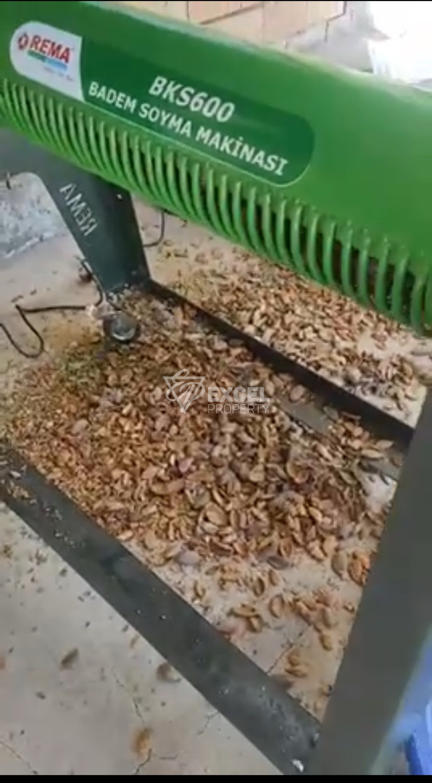 🌰 ДЕЙСТВУЮЩИЙ БИЗНЕС – МИНДАЛЬНЫЙ САД В ЗЕМЛИЩЕ С. ГЮЛЁВЦА